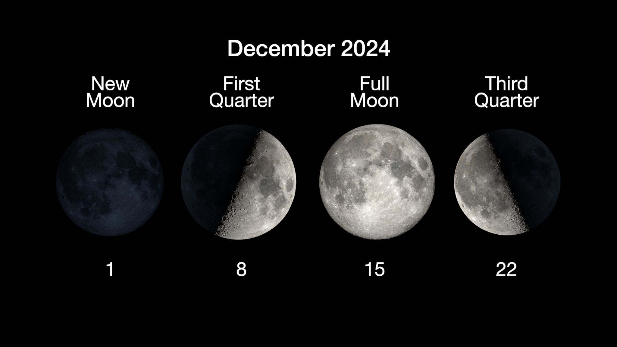 "The Cold Moon Witness the Last Full Moon of the Year" SINGGATE