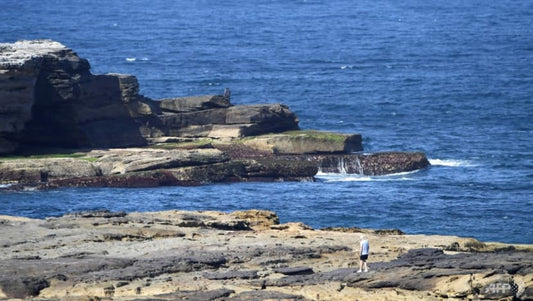 British diving instructor named as victim of fatal Sydney shark attack