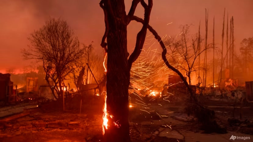 Singaporeans Evacuate as Wildfires Ravage Los Angeles