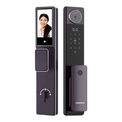 FR052 3D Face & Palm Vein Space Digital Door Lock