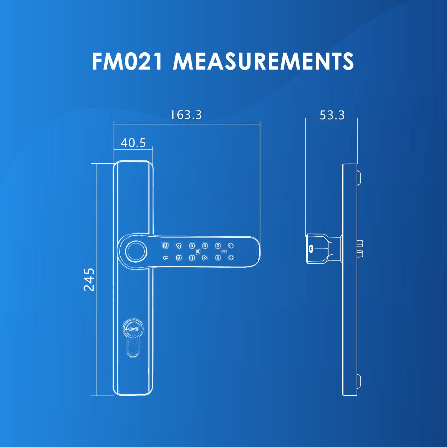 FR009 Pro Door + FM021 Gate Digital Lock Bundle