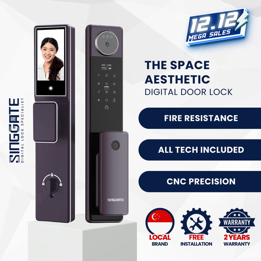 FR052 3D Face & Palm Vein Space Digital Door Lock